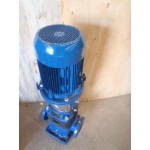 Lowara 46SV vertikale meertraps pomp, used.
