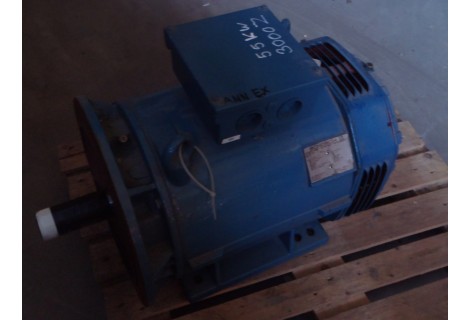 55 KW  3000 RPM As 60 mm flens SCHORCH