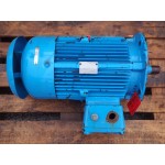 15 KW  2900 RPM  Flens 